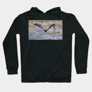 Two springbok. Hoodie